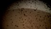 Mars Insight Lander Touches Down on Mars
