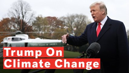 Descargar video: Trump Rejects Climate Change Report By His Own Administration: 'I Don't Believe It'