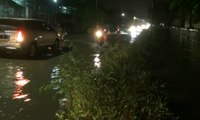 Banjir Landa Kawasan Cengkareng