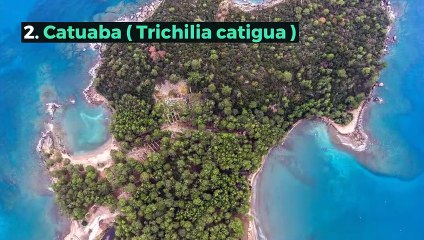 Best Nootropics for ADHD & ADD