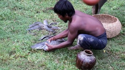 Build Fish Pond Using Stone