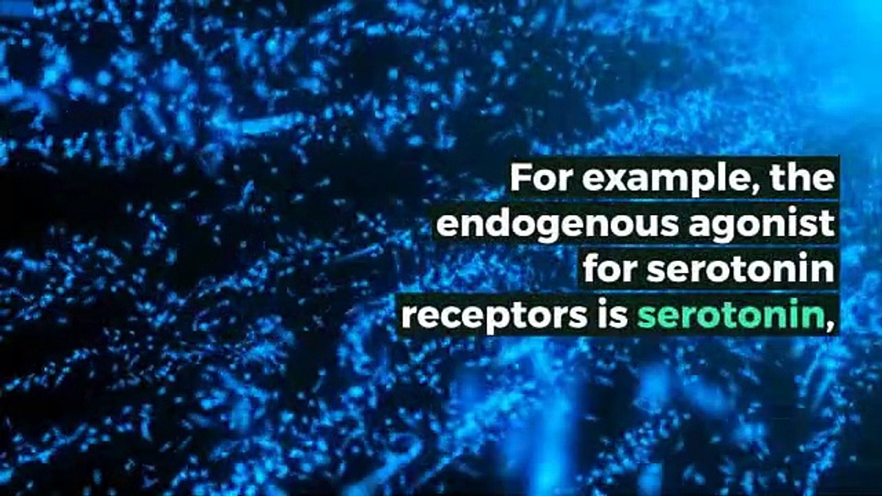 What is ENDOGENOUS AGONIST? What does ENDOGENOUS AGONIST mean? ENDOGENOUS AGONIST meaning - ENDOGENOUS AGONIST definition - ENDOGENOUS AGONIST explanation