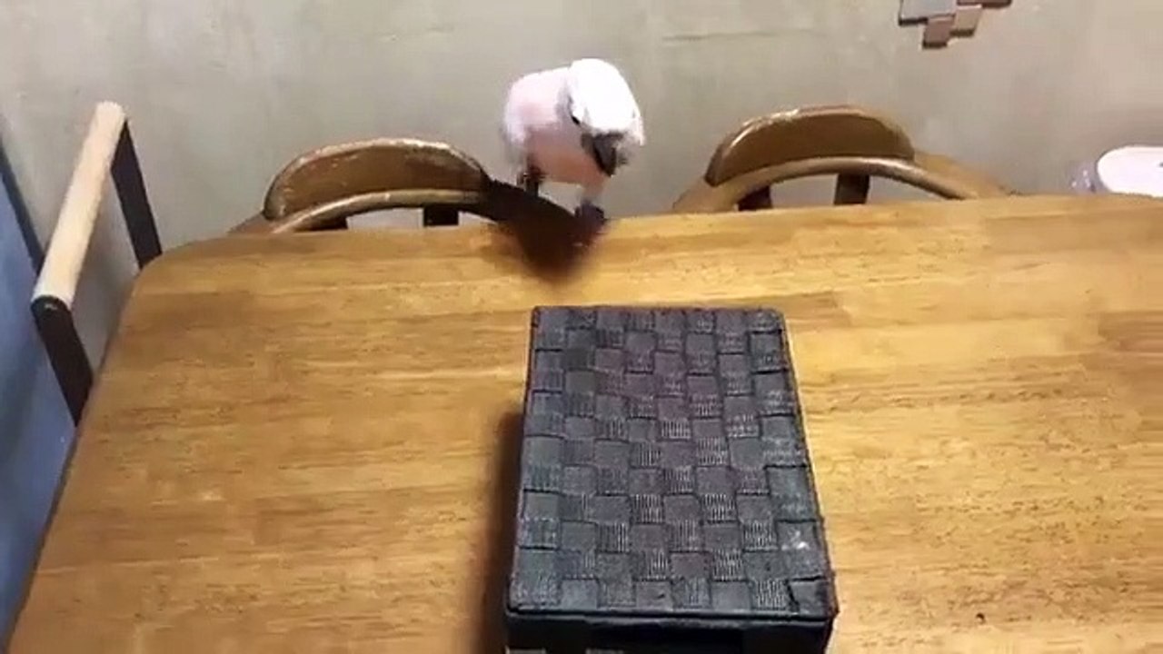 So Funny...