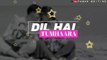 Dil Hai Tumhara Dhadkan Tumhari II 30 Second WhatsApp Status Video