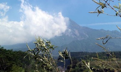 Gugurkan Lava, Aktivitas Gunung Merapi Meningkat