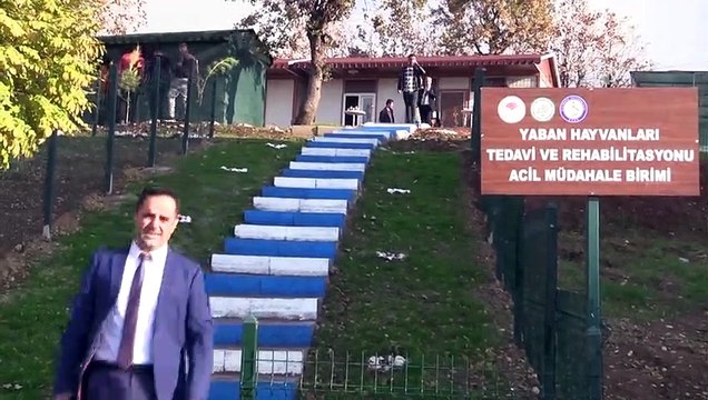 'Çocuğa şiddet hayvana şiddeti doğruyor' - ŞIRNAK