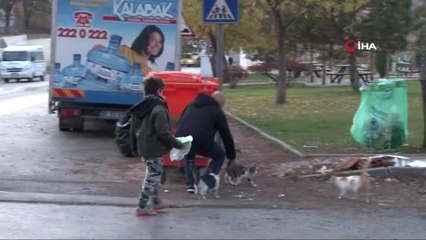 Sokak Hayvanları Her Gün Onun Yolunu Gözlüyor
