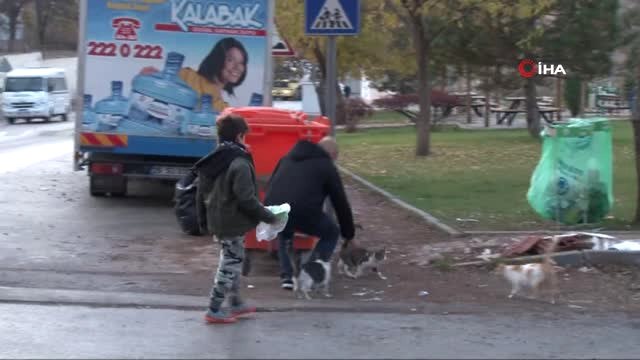 Sokak Hayvanları Her Gün Onun Yolunu Gözlüyor