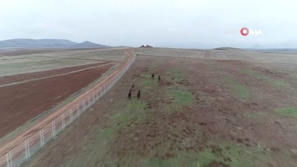 Şampiyon Atlar Sivas'ta Yetiştiriliyor