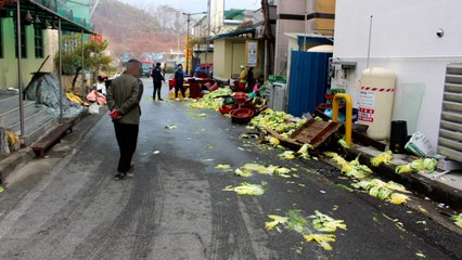 공주에서 음주 차량이 김장하던 주민 덮쳐...9명 부상 / YTN