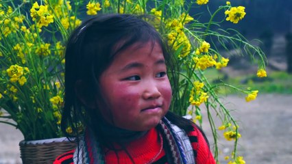 Hello Vietnam -  JMI KO