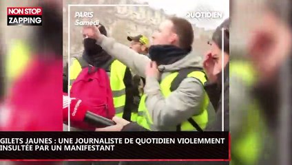 Gilets Jaunes : Une journaliste de Quotidien violemment insultée par un manifestant (vidéo)