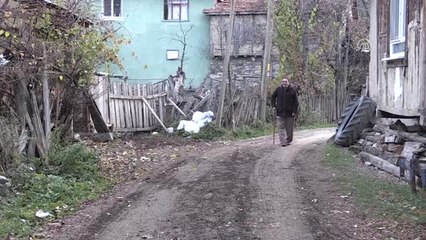 Ali Dede" Yeni Evinde Kedileriyle Mutlu