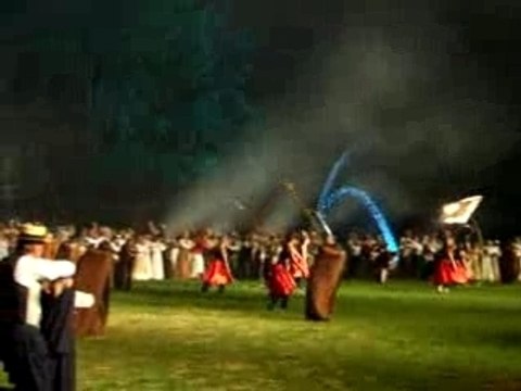 BONNE ANNEE ***LE CHEVAL VOUS SALUT POUR 2008***