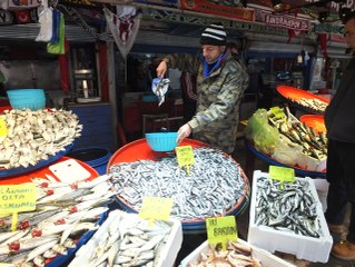 Marmara'da Hamsi Bereketi