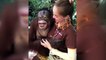 Orangutan Grabs Zoo Worker's Breasts
