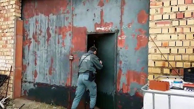 Detenidos por cultivo ilegal de sustancias estupefacientes