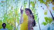 Tera Lagna Ni Ji with Lyrics | Ravinder Grewal | Latest Punjabi Songs 2018 | Yellow Music