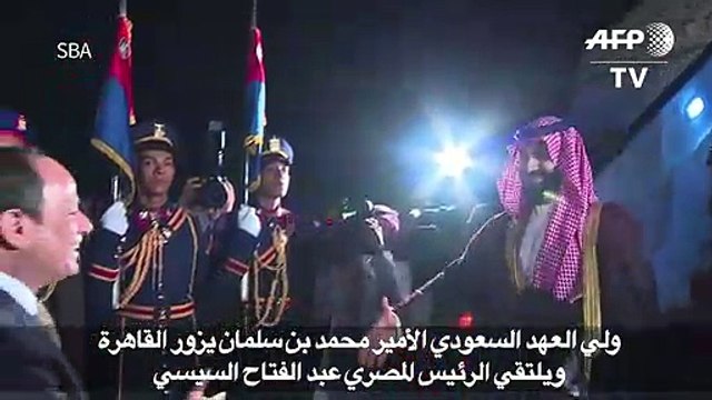 ولي العهد السعودي يزور مصر ويلتقي السيسي