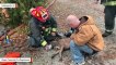 Firefighters Use Oxygen Mask To Rescue Dog After House Fire