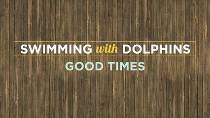 Swimming With Dolphins - Good Times