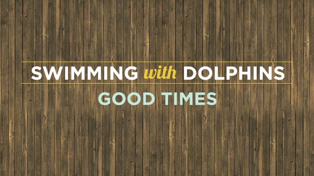 Swimming With Dolphins - Good Times