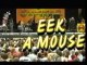 Eek A Mouse Live Au Chiemsee Reggae Summer 2002