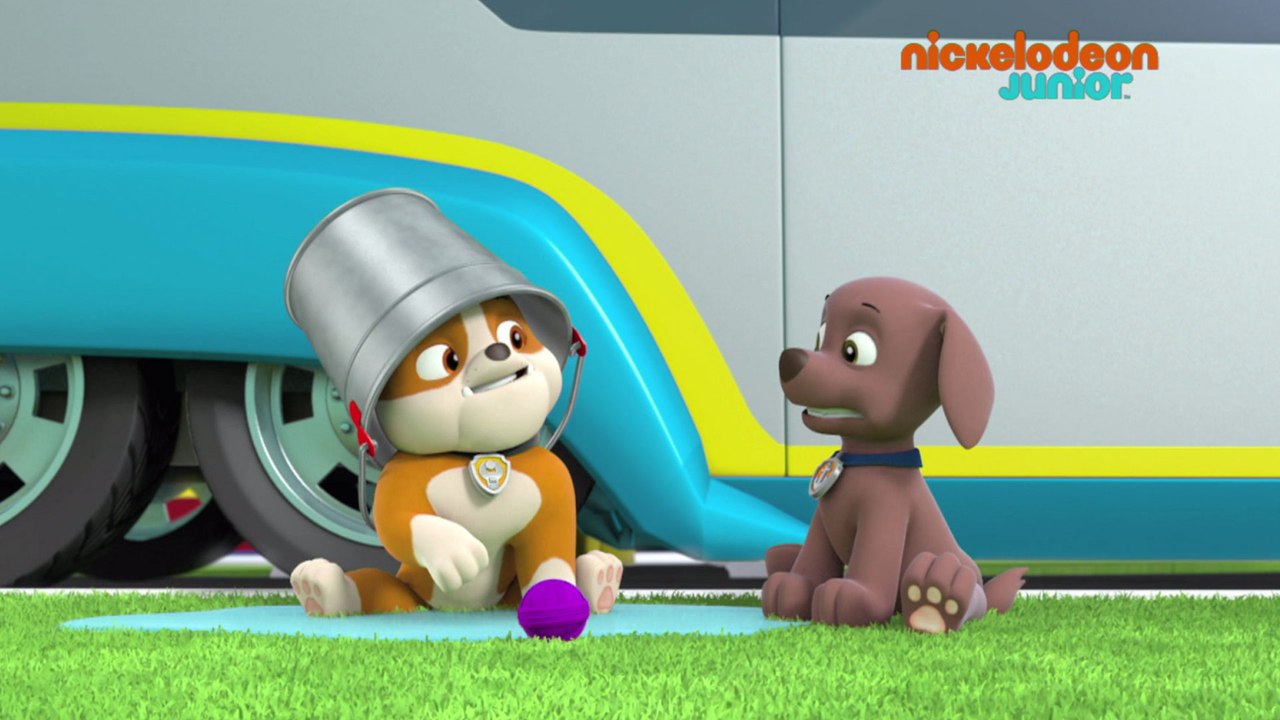 Paw Patrol : la Pat'Patrouille | Entre chiens et chats | NICKELODEON JUNIOR