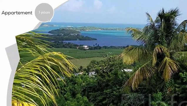 A louer - Appartement - LE FRANCOIS (97240) - 3 pièces - 76m²