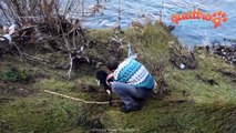 L'incredibile gesto d'amore di un uomo verso un cane