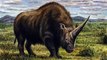 This Siberian Unicorn Co-Existed With Humans Before Going Extinct
