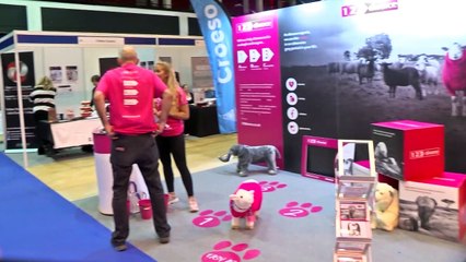 The UK's Gambling Epidemic!