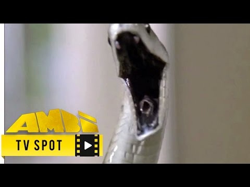 Venom / US TV Spot #4 (1981)