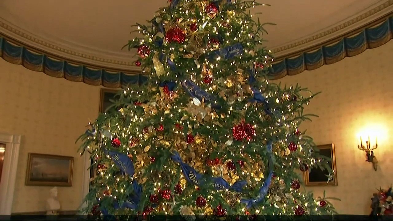 Melania's White House Christmas decor surprises once again video