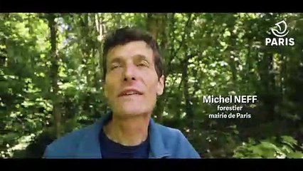 Bois de Vincennes – biodiversité et loisirs