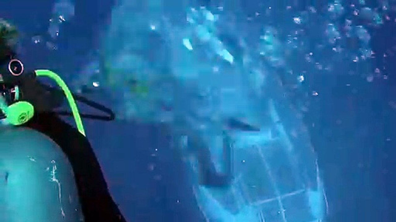 Un sous-marin frôle des plongeurs... Terrifiant