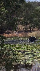 Helicopter Fills Bucket of Water for Wildfire Efforts