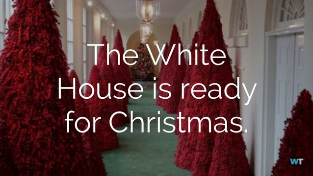 The White House Is Ready For Christmas With Controversial Red Decorations