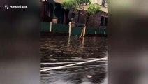 Cars drive on flooded roads as torrential rain lashes Sydney