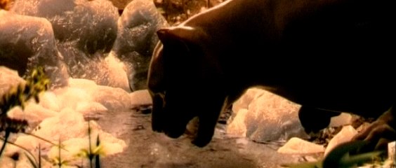 Tiromancino - Imparare Dal Vento