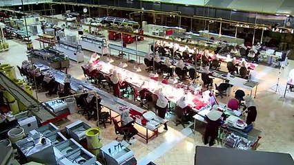 Le safran iranien en quête de reconnaissance internationale