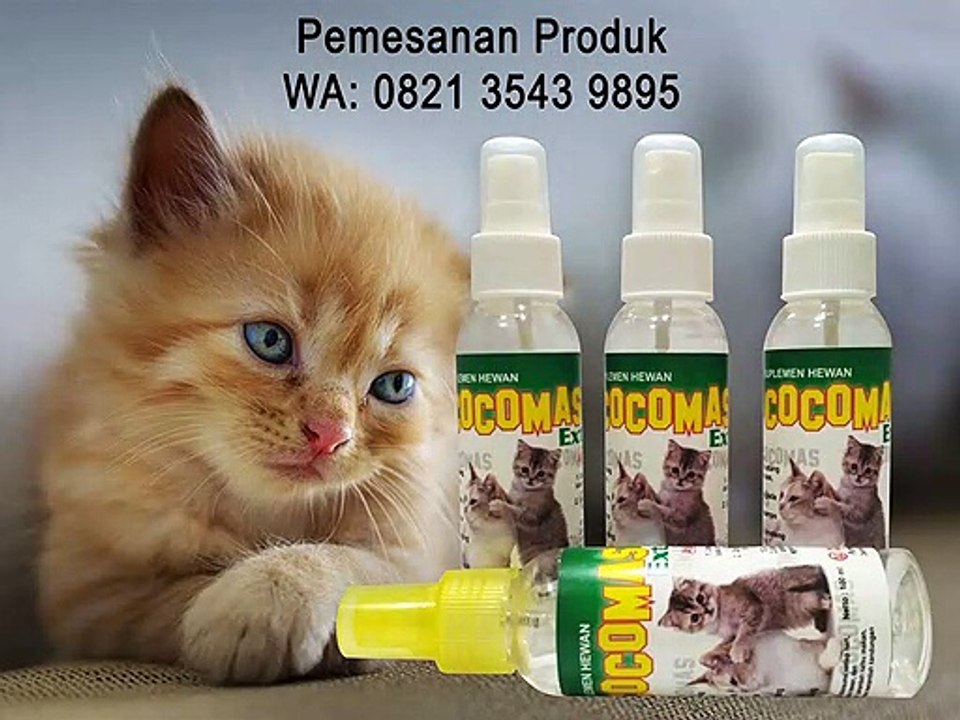 PUSAT PRODUSEN - Obat Untuk Kucing, 0821 3543 9895