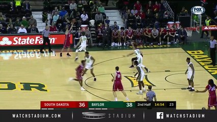 South Dakota vs. Baylor Basketball Highlights (2018-19)