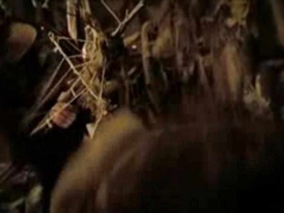 Finntroll - Trollhammaren