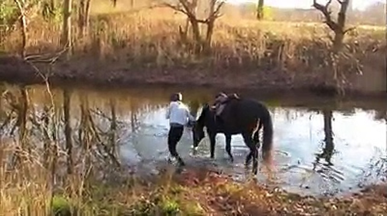 Amazing  bath of horse with rider, must to watch it..