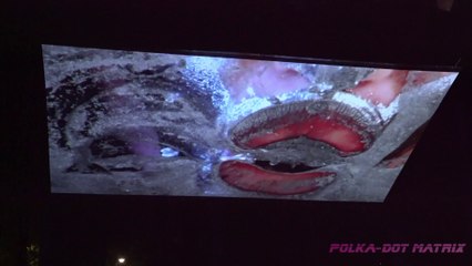 Discover the Unique Experience of Eating Caviar in the Polka-Dot Matrix 🎉