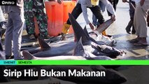 #1MENIT | Sirip Hiu Bukan Makanan