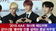 '2018 AAA' 워너원(Wanna One), 강다니엘 '봄바람 처럼 설레는 비주얼'로 시선 올킬!