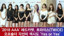 '2018 AAA' 트와이스(TWICE), 오프숄더 각선미 섹시도 'Yes or Yes'