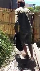 Eastern Brown Snake Chase